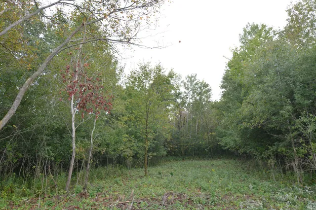 $109,900 | Tbd 130th Avenue, Milaca, MN 56353