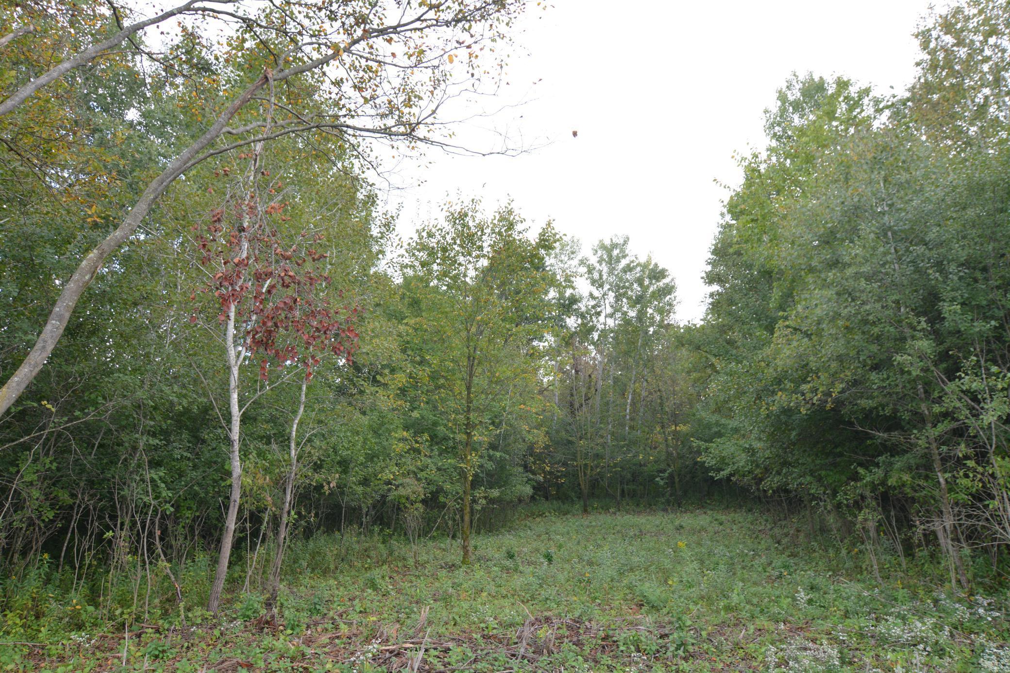 Tbd 130th Avenue Milaca, MN 56353 - Photo 7 of 14