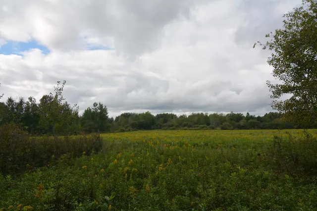 $109,900 | Tbd 130th Avenue, Milaca, MN 56353