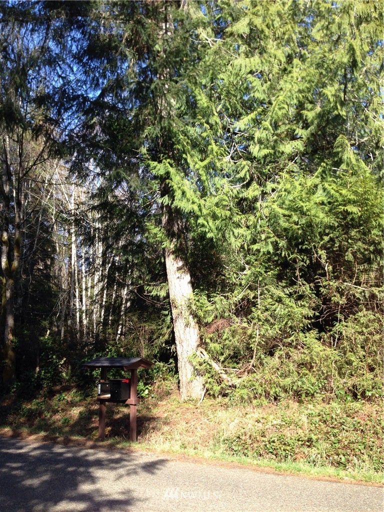 4 East Stadium Beach Road Grapeview, WA 98546 - Photo 1 of 1 Gallery Image 1