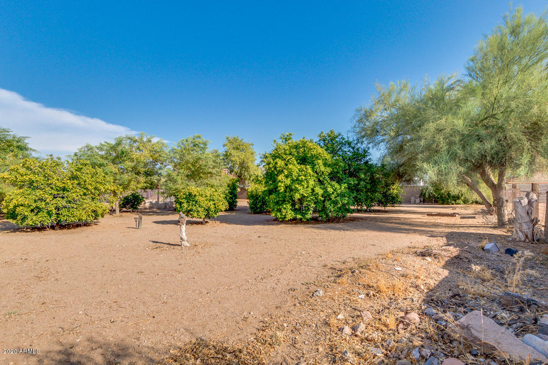 508 North Merrill Road Mesa, AZ 85207 - Photo 3 of 63 Over an Acre of County Island Paradise