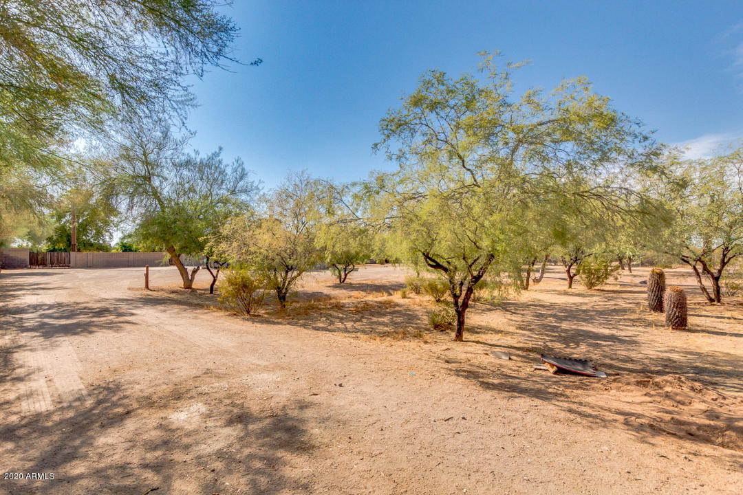 508 North Merrill Road Mesa, AZ 85207 - Photo 44 of 63 Circular Drive