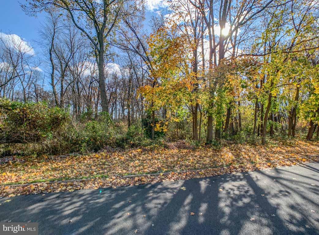 70 Verdant Road Levittown, PA 19057 - Photo 32 of 32