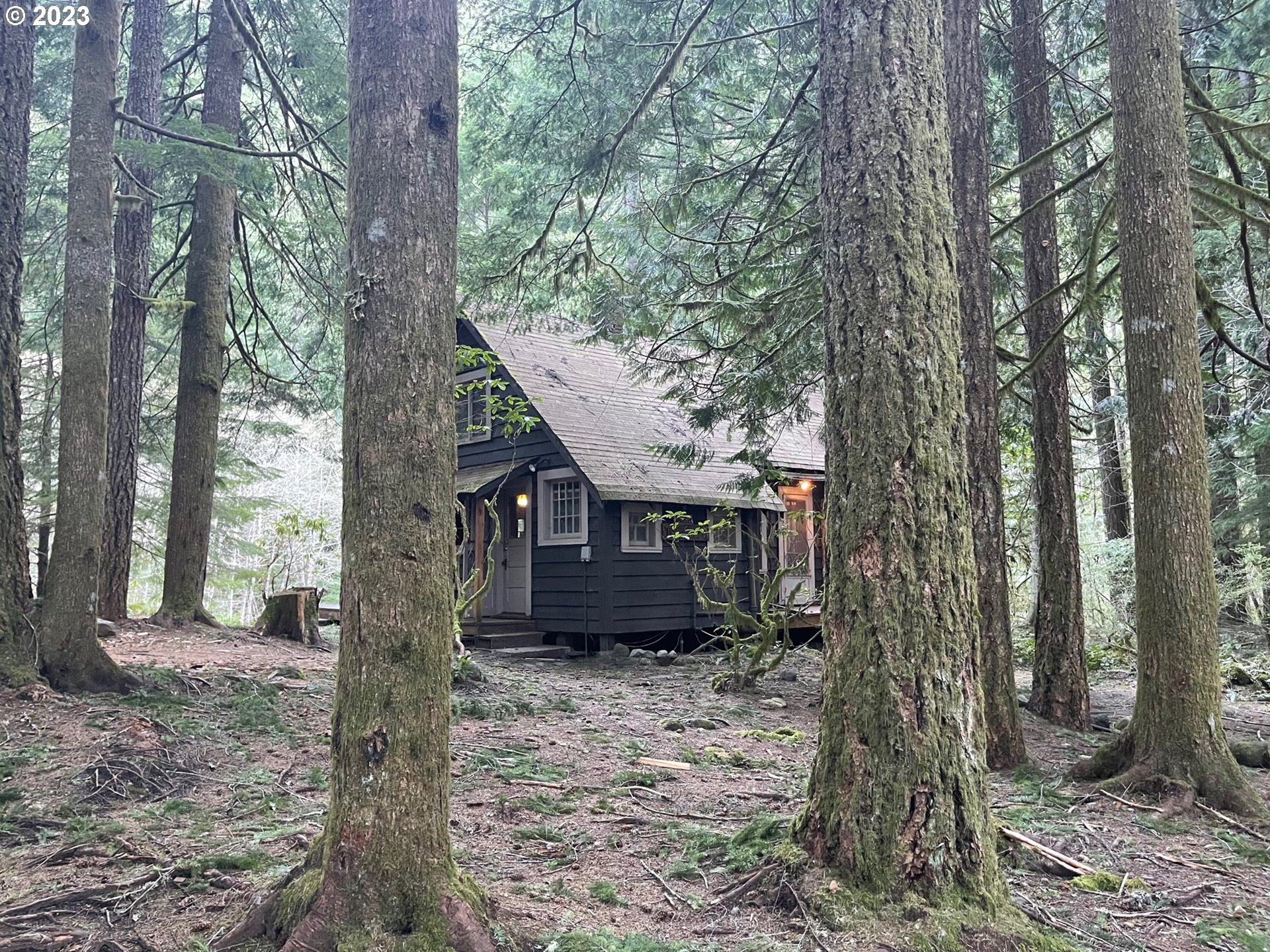 74698 East Road 24 Rhododendron, OR 97049 - Photo 3 of 32