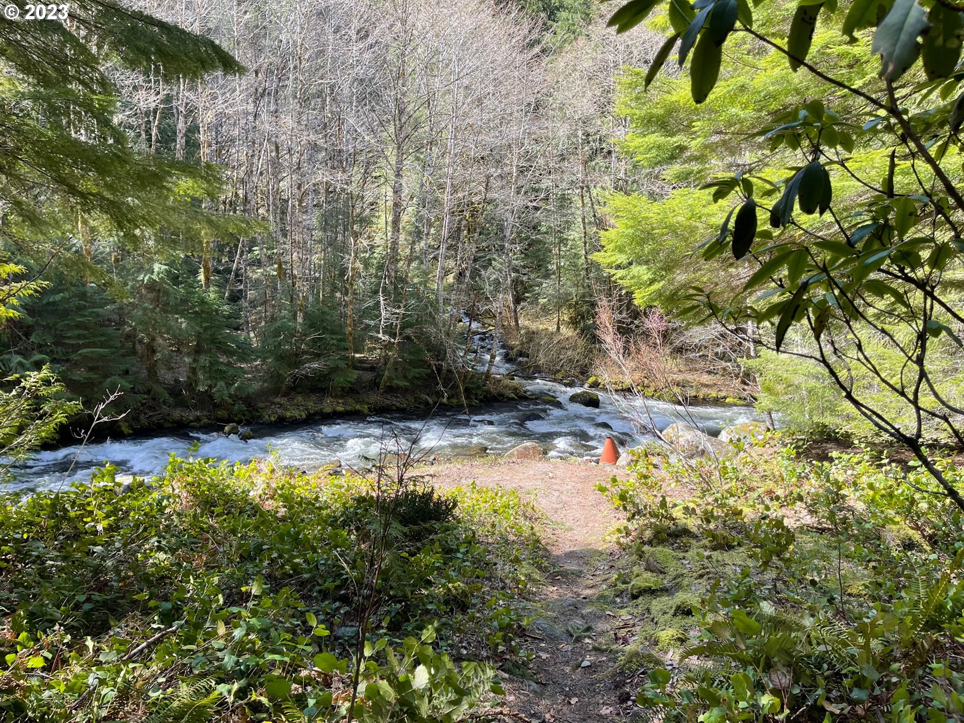 74698 East Road 24 Rhododendron, OR 97049 - Photo 32 of 32