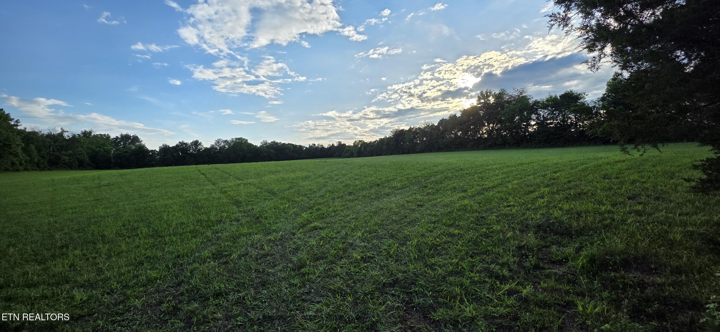 1040 Smith Valley Road Lenoir City, TN 37772 - Photo 6 of 8 1000007472