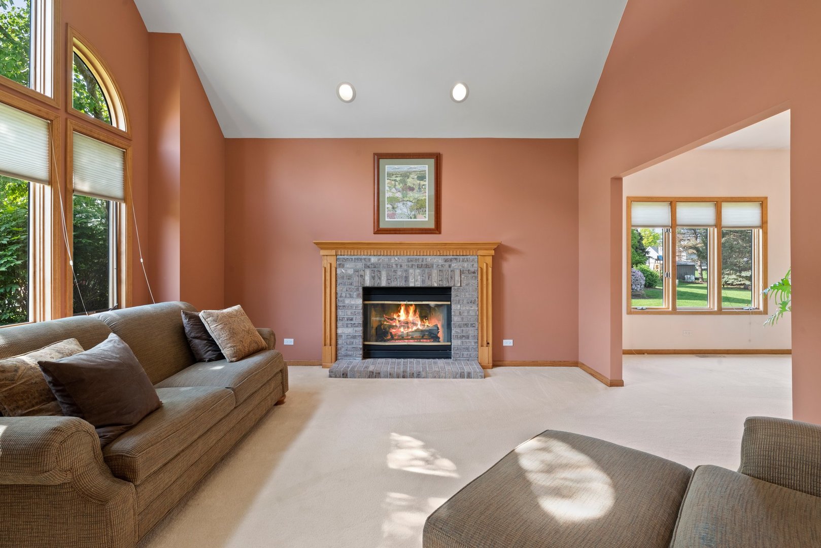 14819 Hawthorne Circle Plainfield, IL 60544 - Photo 4 of 24