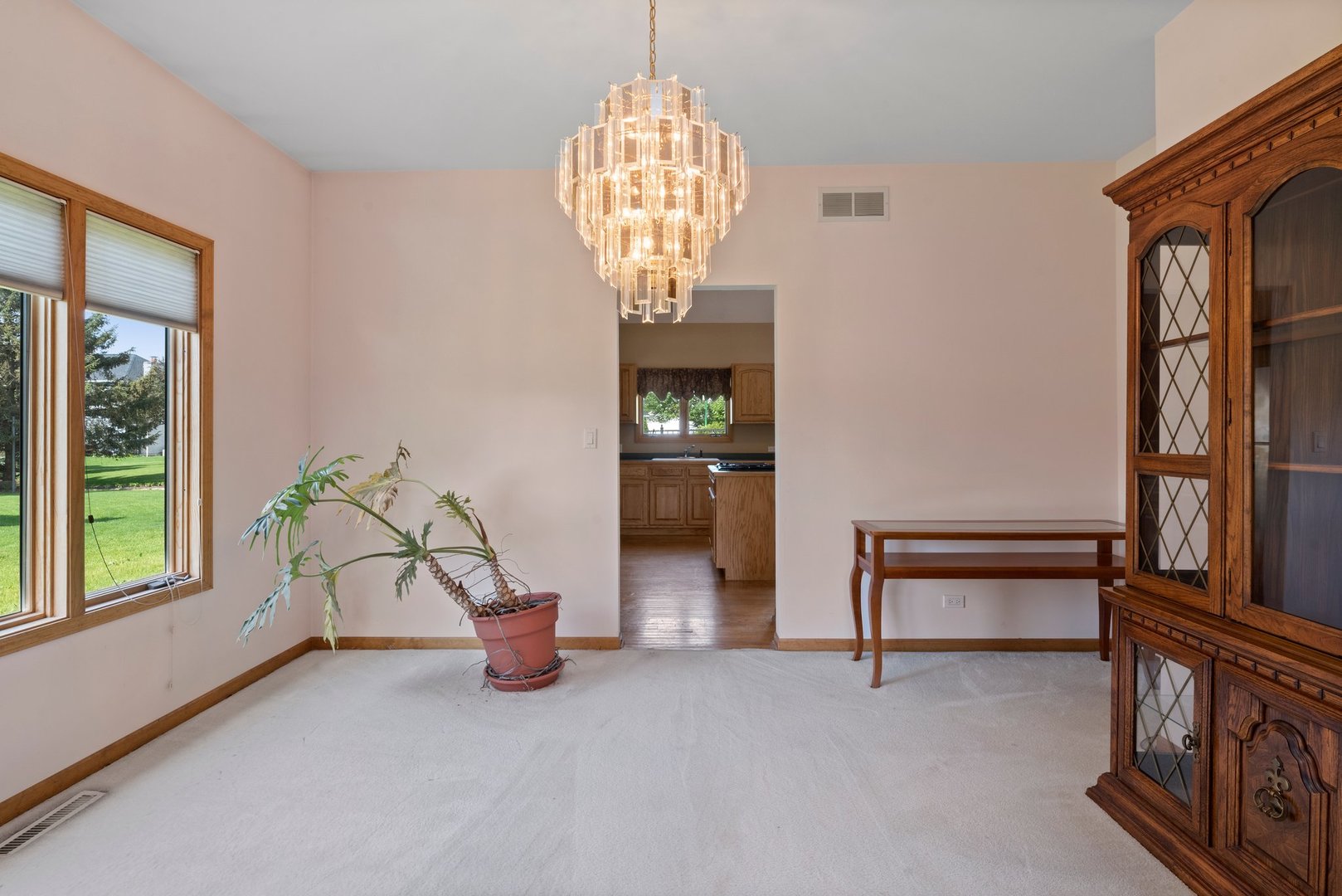 14819 Hawthorne Circle Plainfield, IL 60544 - Photo 6 of 24