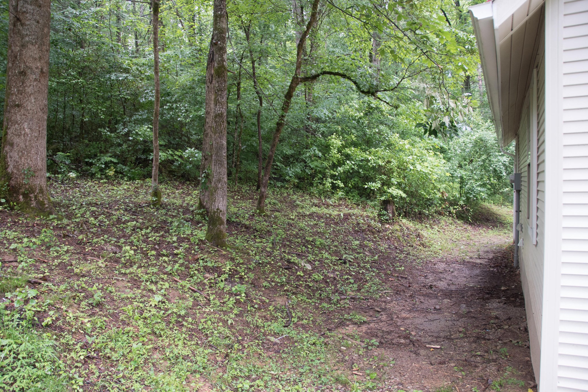 218 Tom Henry Road Townsend, TN 37882 - Photo 31 of 36