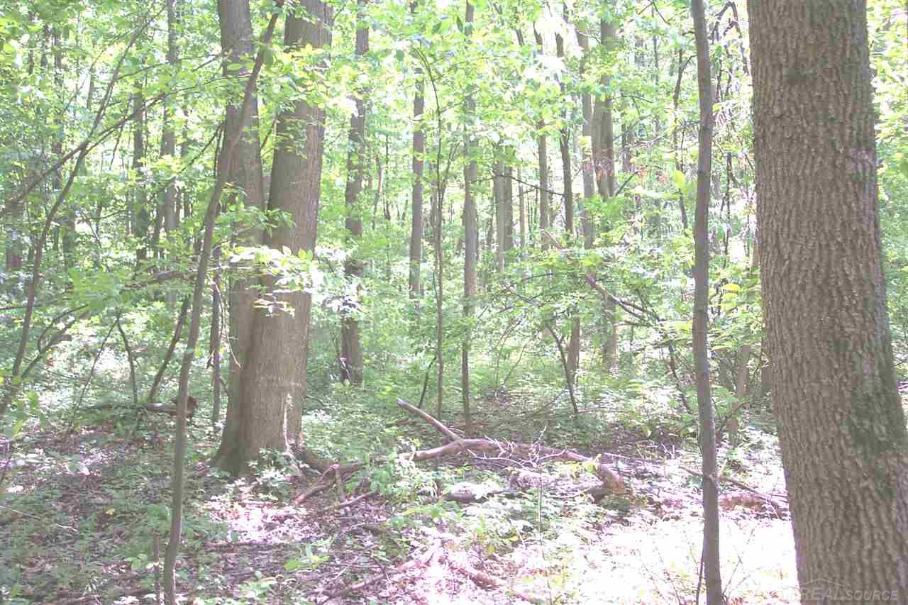 0 Kilgore Croswell, MI 48422 - Photo 1 of 9