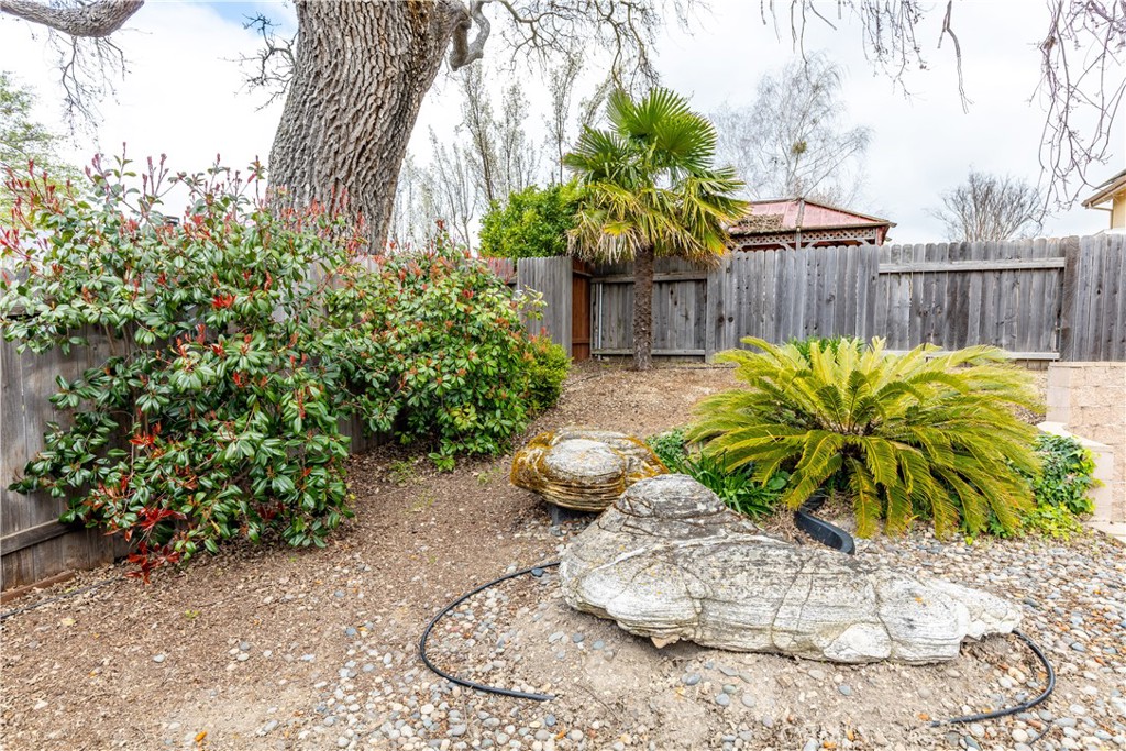 52 Sunnyside Way Templeton, CA 93465 - Photo 31 of 41 a view of a backyard with plants and garden