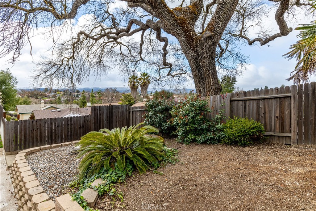 52 Sunnyside Way Templeton, CA 93465 - Photo 32 of 41 a view of a backyard with plants