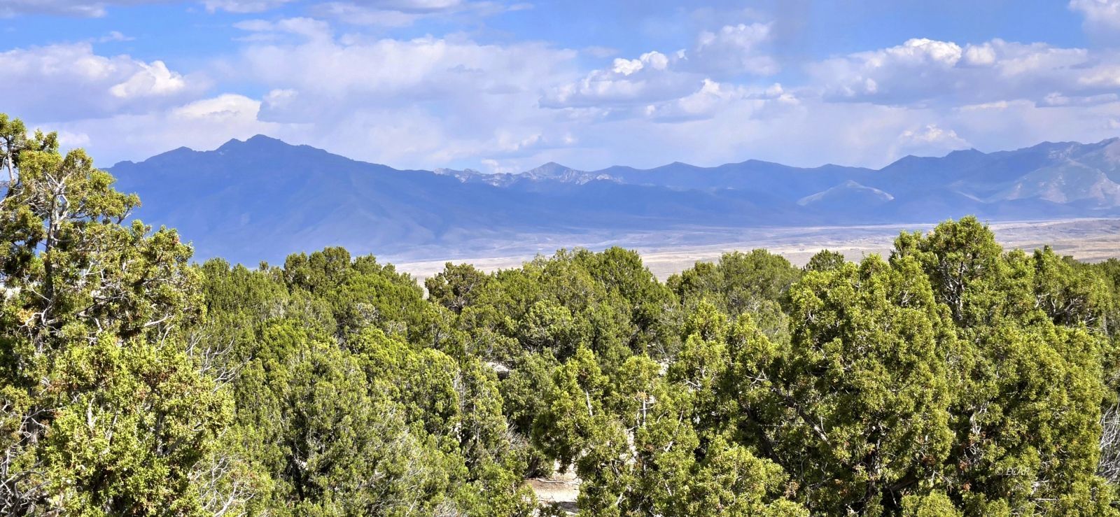 816 Hamilton Stage Road Spring Creek, NV 89815 - Photo 10 of 36 Gallery Image 10