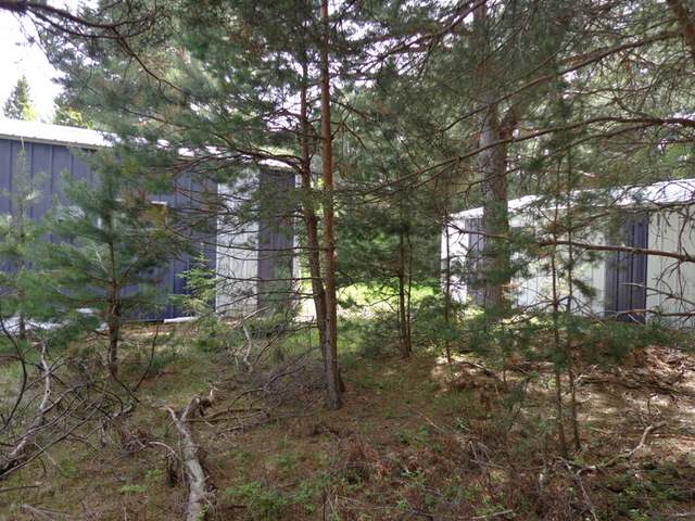1128 West Harris Lake Road Presque Isle, WI 54557 - Photo 6 of 16 Gallery Image 6