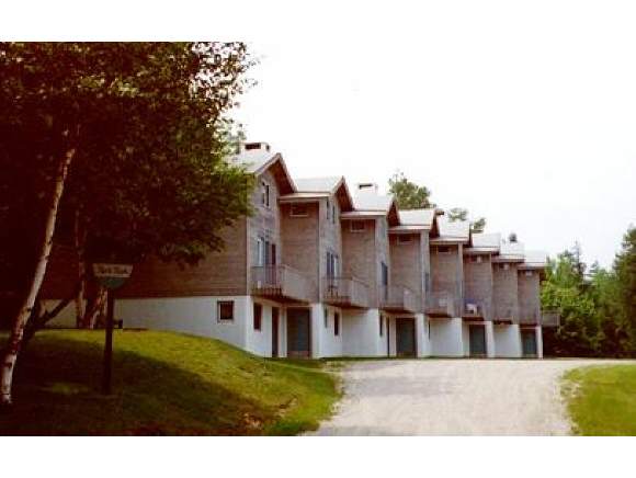 3 Birch Hill Road, Unit 3 Winhall, VT 05340 - Photo 1 of 11