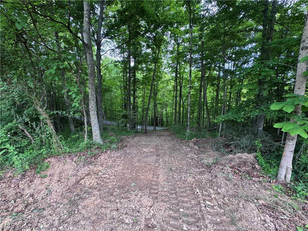 Hill Road, Unit 10 Waterford, OH 45786 - Photo 10 of 13