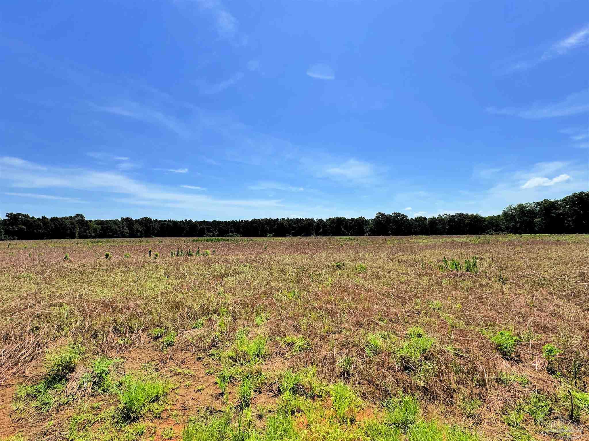 Lot 2 Three Hollow Road Jay, FL 32565 - Photo 11 of 16 a view of lake