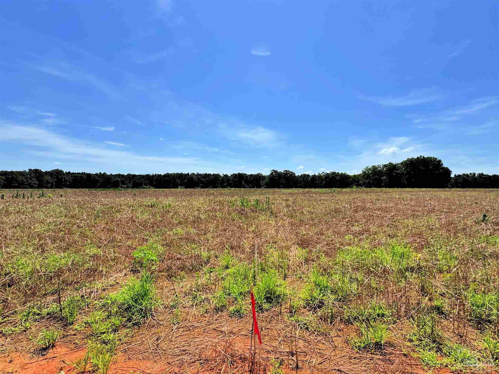 Lot 2 Three Hollow Road Jay, FL 32565 - Photo 12 of 16 a view of a lake from a yard