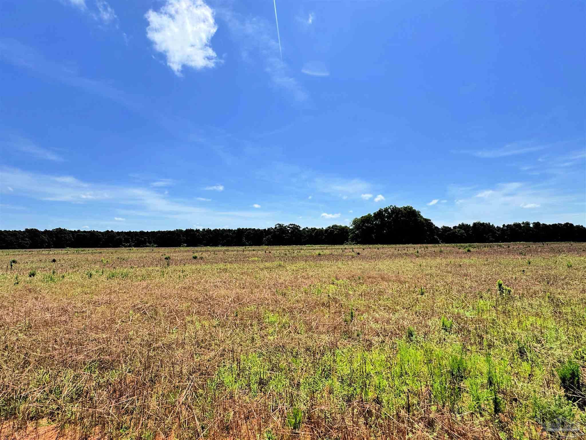Lot 2 Three Hollow Road Jay, FL 32565 - Photo 13 of 16 a view of lake and sunset