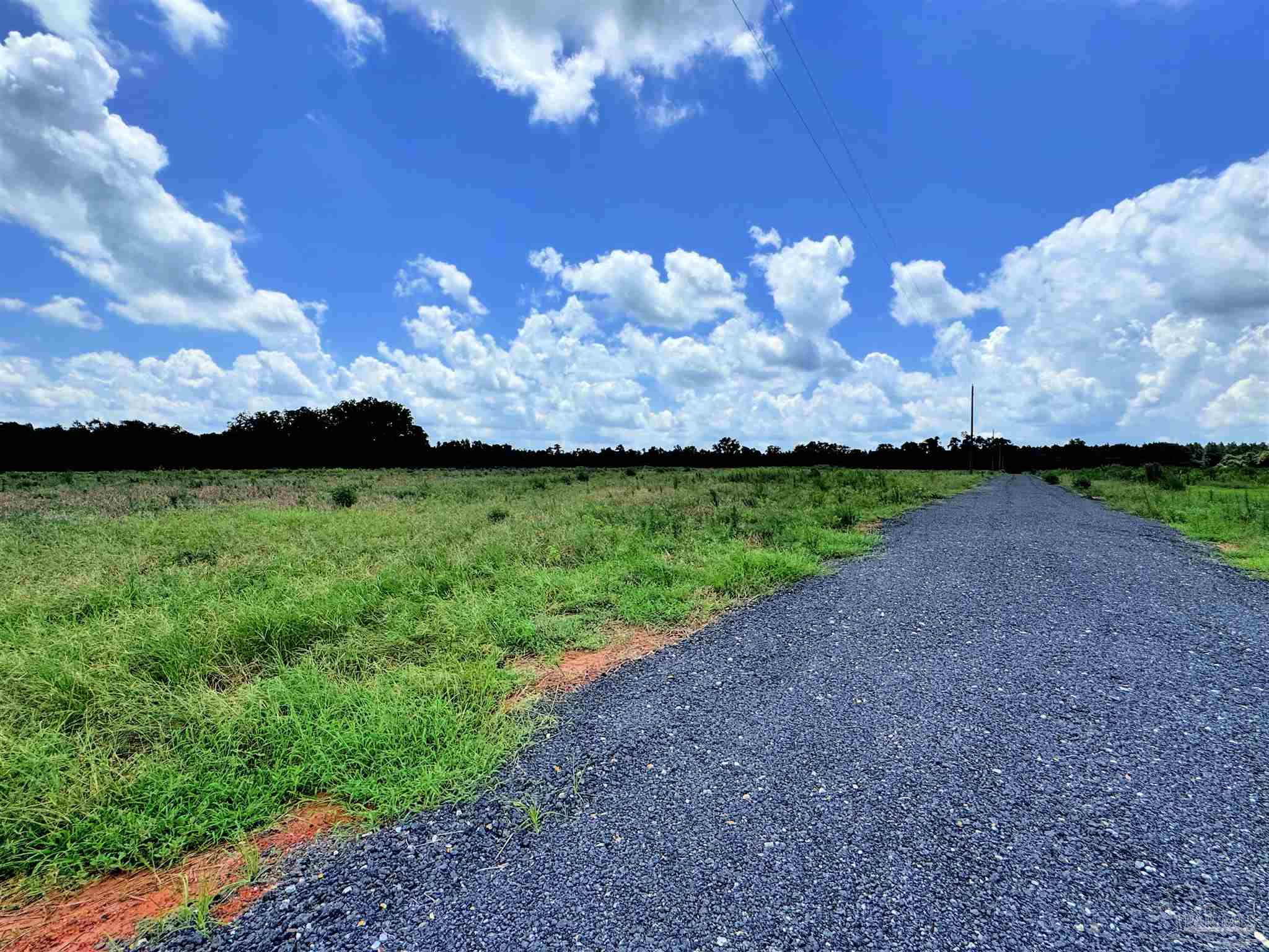 Lot 2 Three Hollow Road Jay, FL 32565 - Photo 14 of 16 a view of a yard