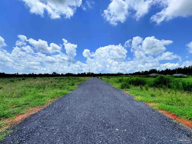 a view of a pathway with a yard