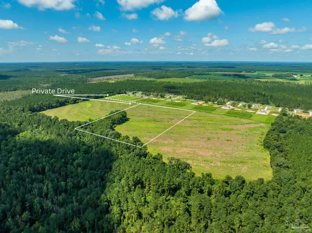 a view of an ocean and beach