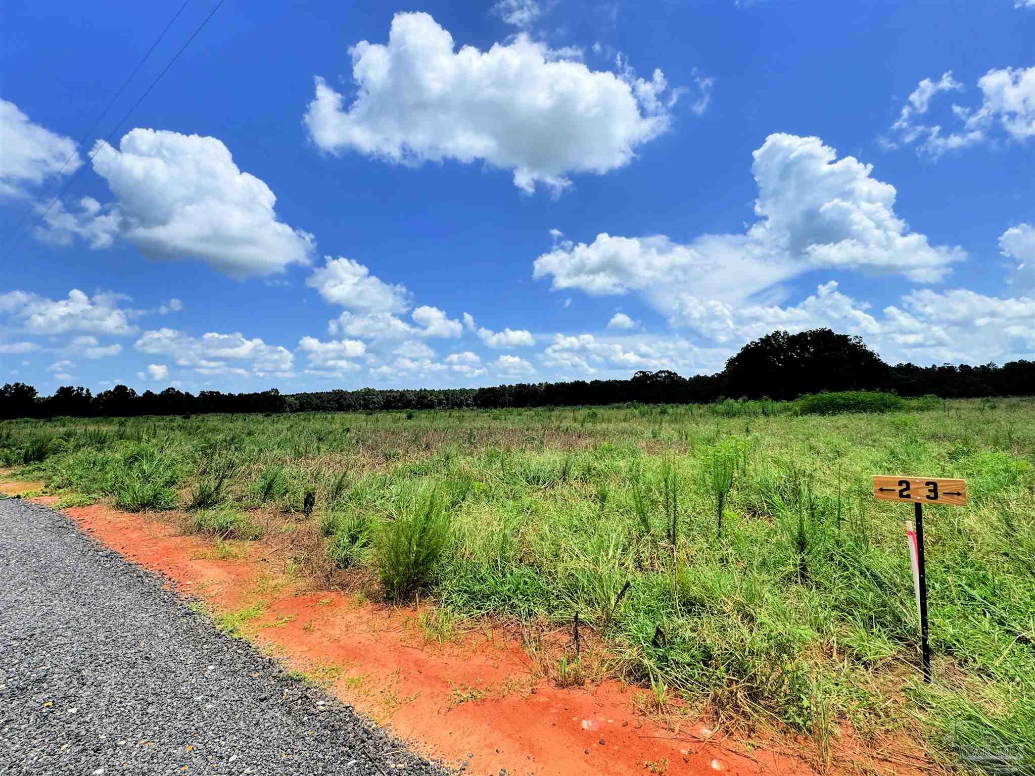 Lot 2 Three Hollow Road Jay, FL 32565 - Photo 7 of 16 a view of a lake