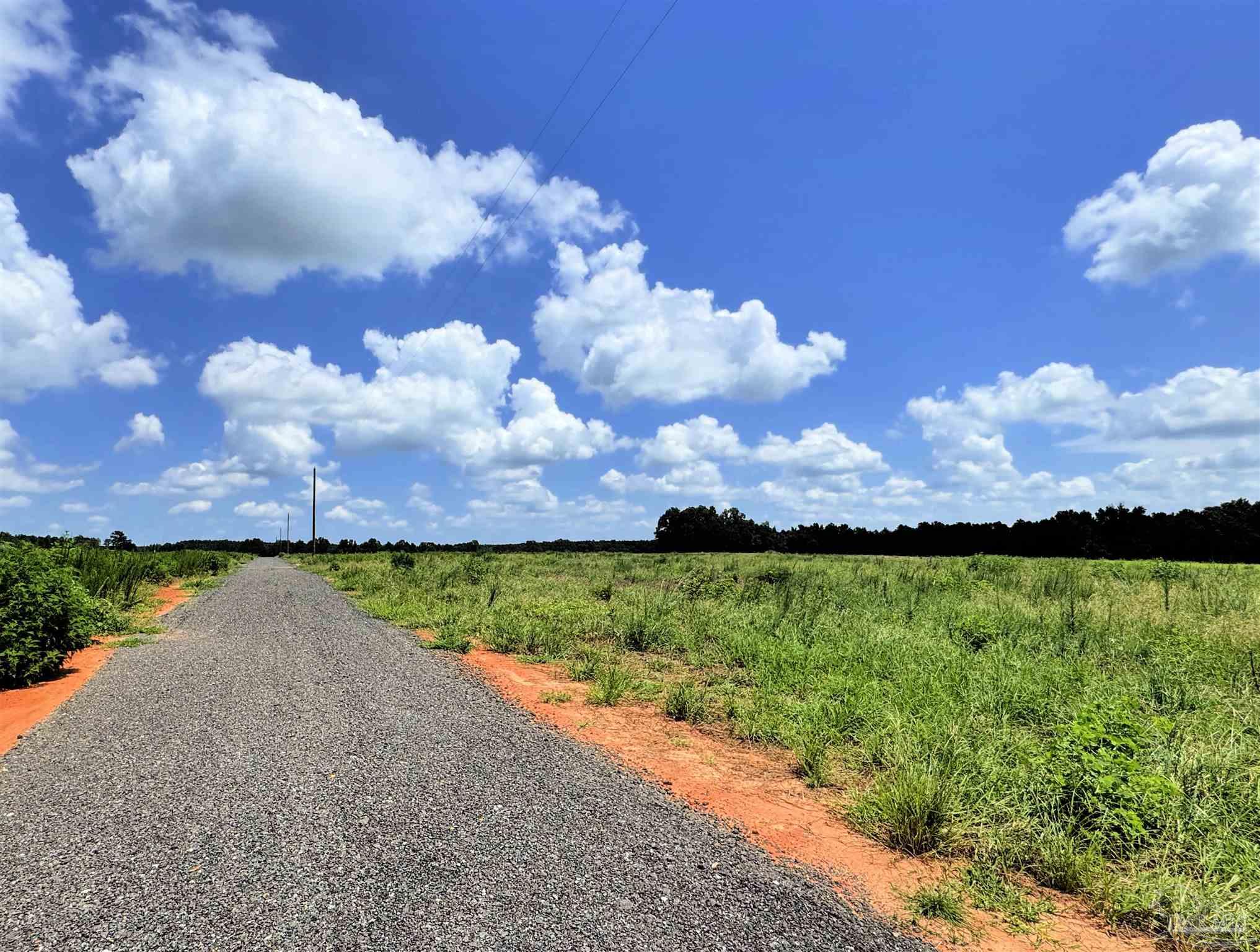 Lot 2 Three Hollow Road Jay, FL 32565 - Photo 9 of 16 a view of a yard