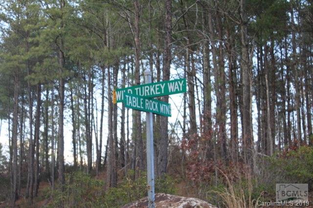 11.65 Ac Rose Creek Road Morganton, NC 28655 - Photo 3 of 4 Gallery Image 3