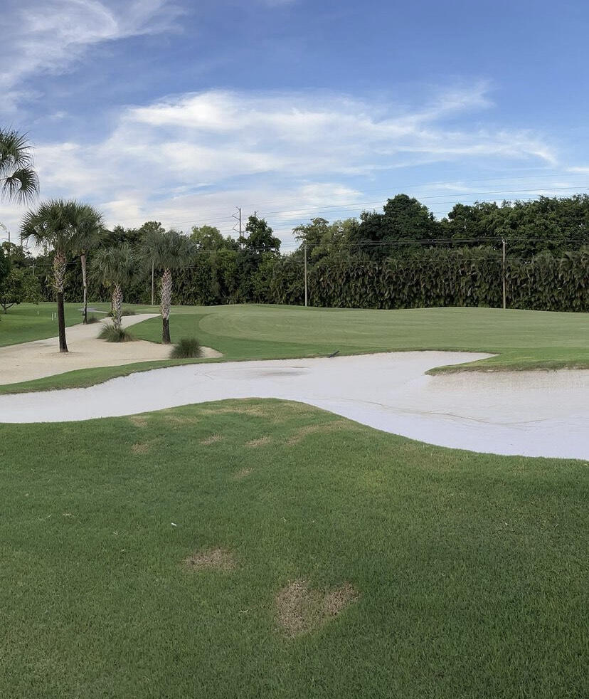 21434 Bridgeview Drive Boca Raton, FL 33428 - Photo 18 of 19 image_6487327 (68)
