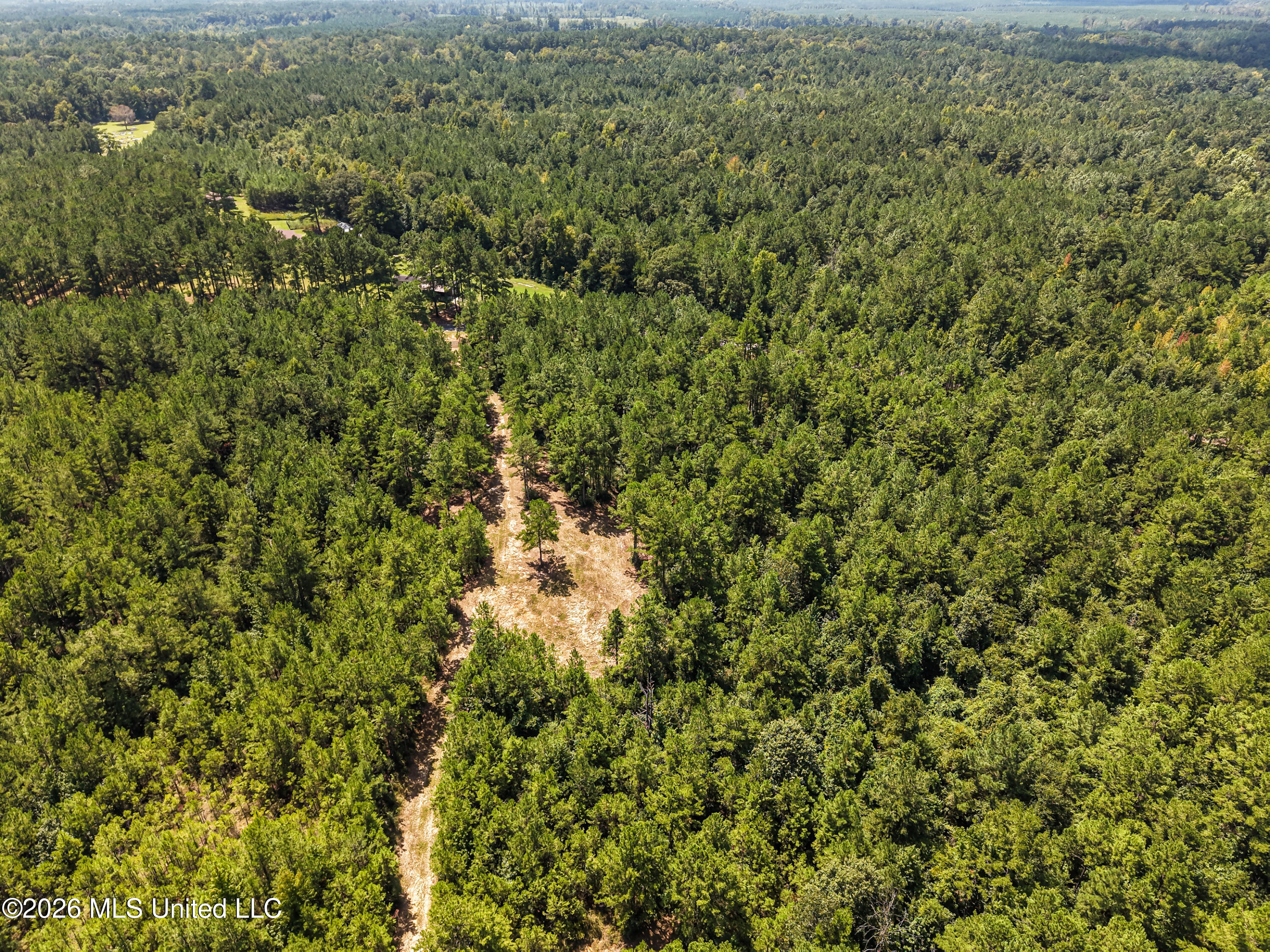Jerusalem Road Liberty, MS 39645 - Photo 65 of 93 IMG_9683
