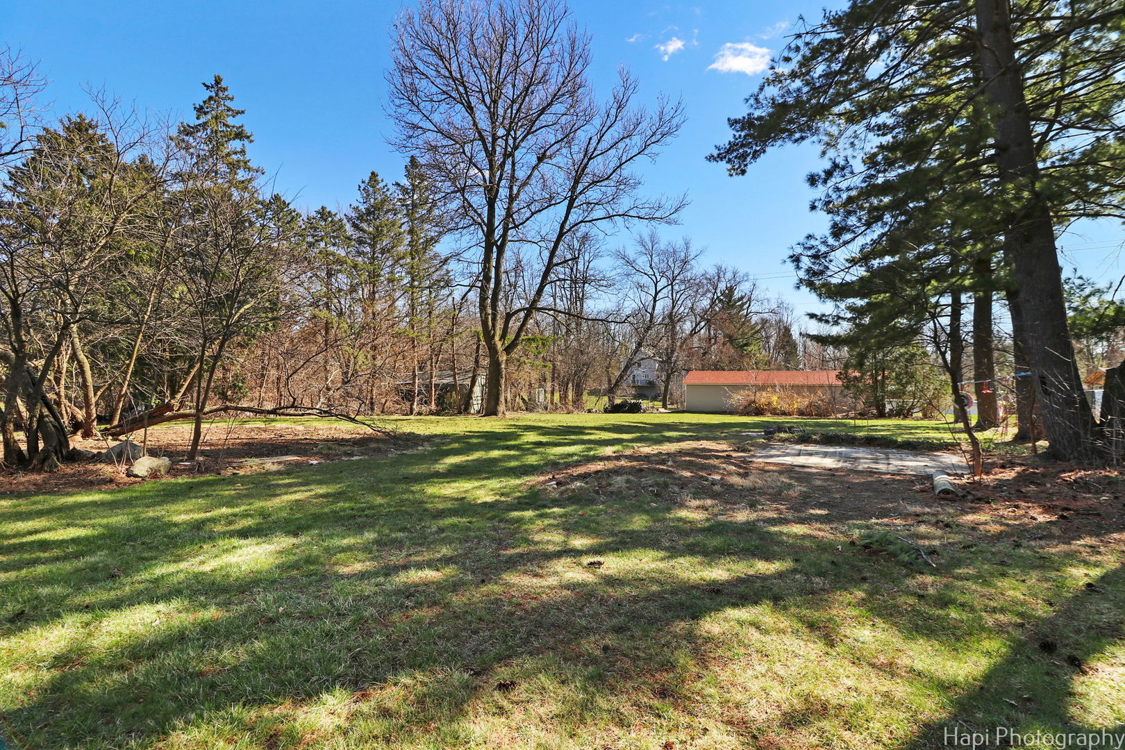 2217 Palatine Road Inverness, IL 60067 - Photo 20 of 28 a view of yard with tree