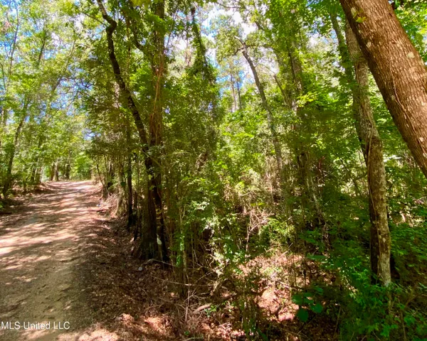 $28,000 | Will Thompson Road, Picayune, MS 39466