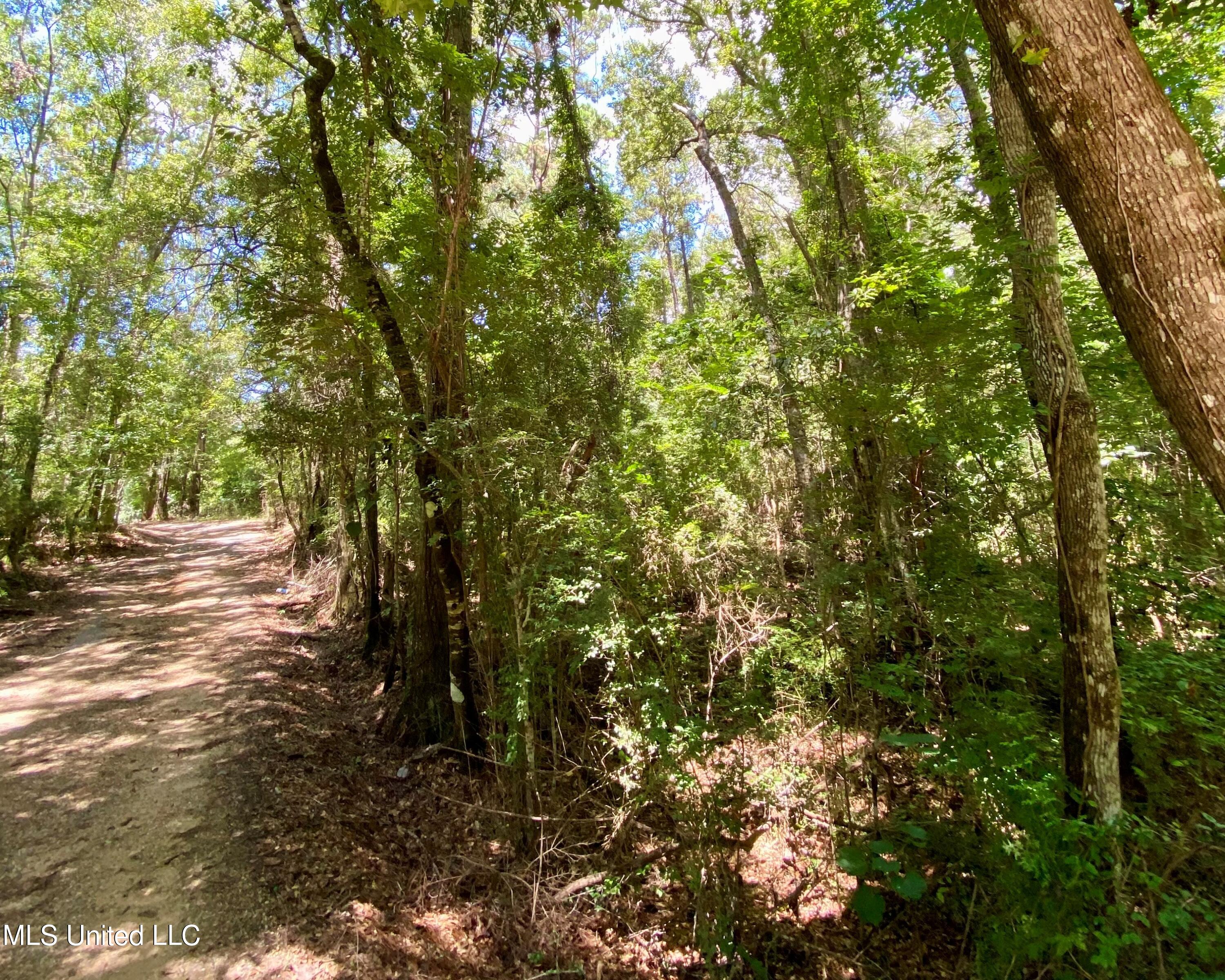 1 Main Photo, IMG_4894