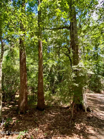 $28,000 | Will Thompson Road, Picayune, MS 39466