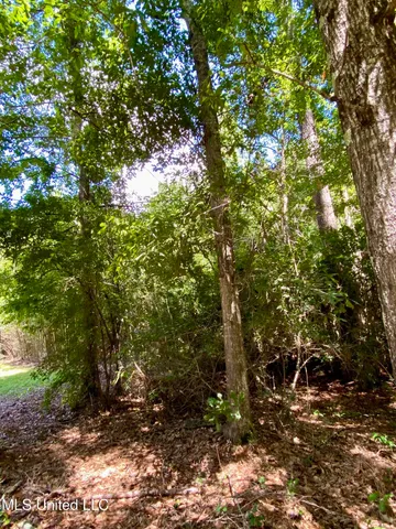 $28,000 | Will Thompson Road, Picayune, MS 39466