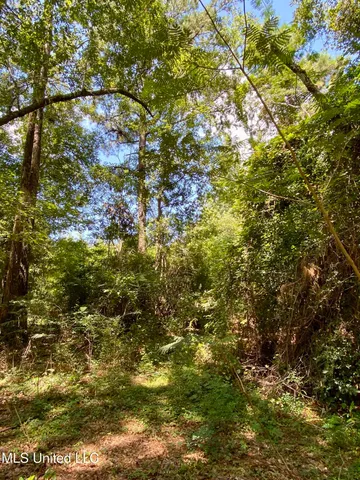 $28,000 | Will Thompson Road, Picayune, MS 39466