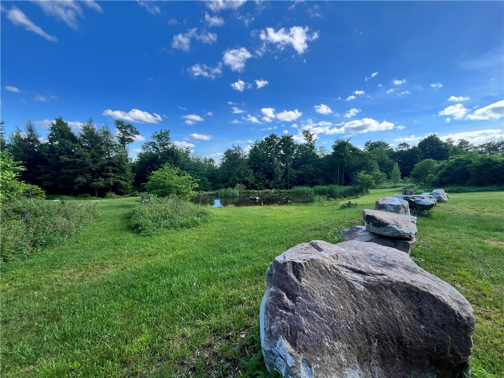 882 Alma Hill Road Alma, NY 14708 - Photo 38 of 46
