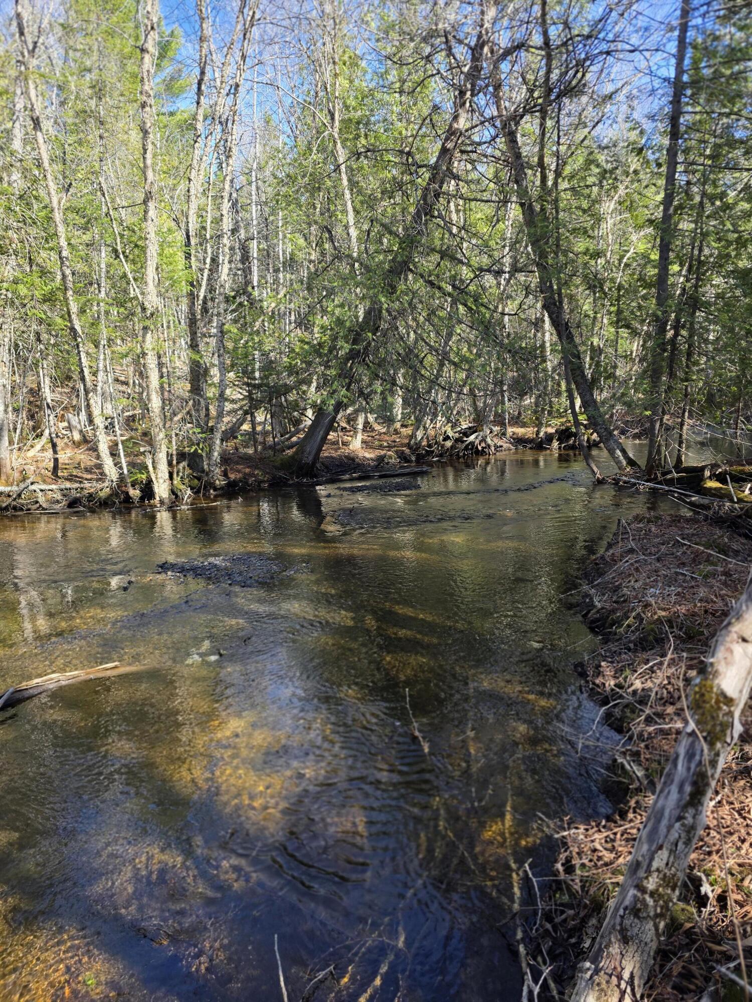 Lot A-n West Ridge Road Littleton, ME 04730 - Photo 6 of 9 20260428_154849