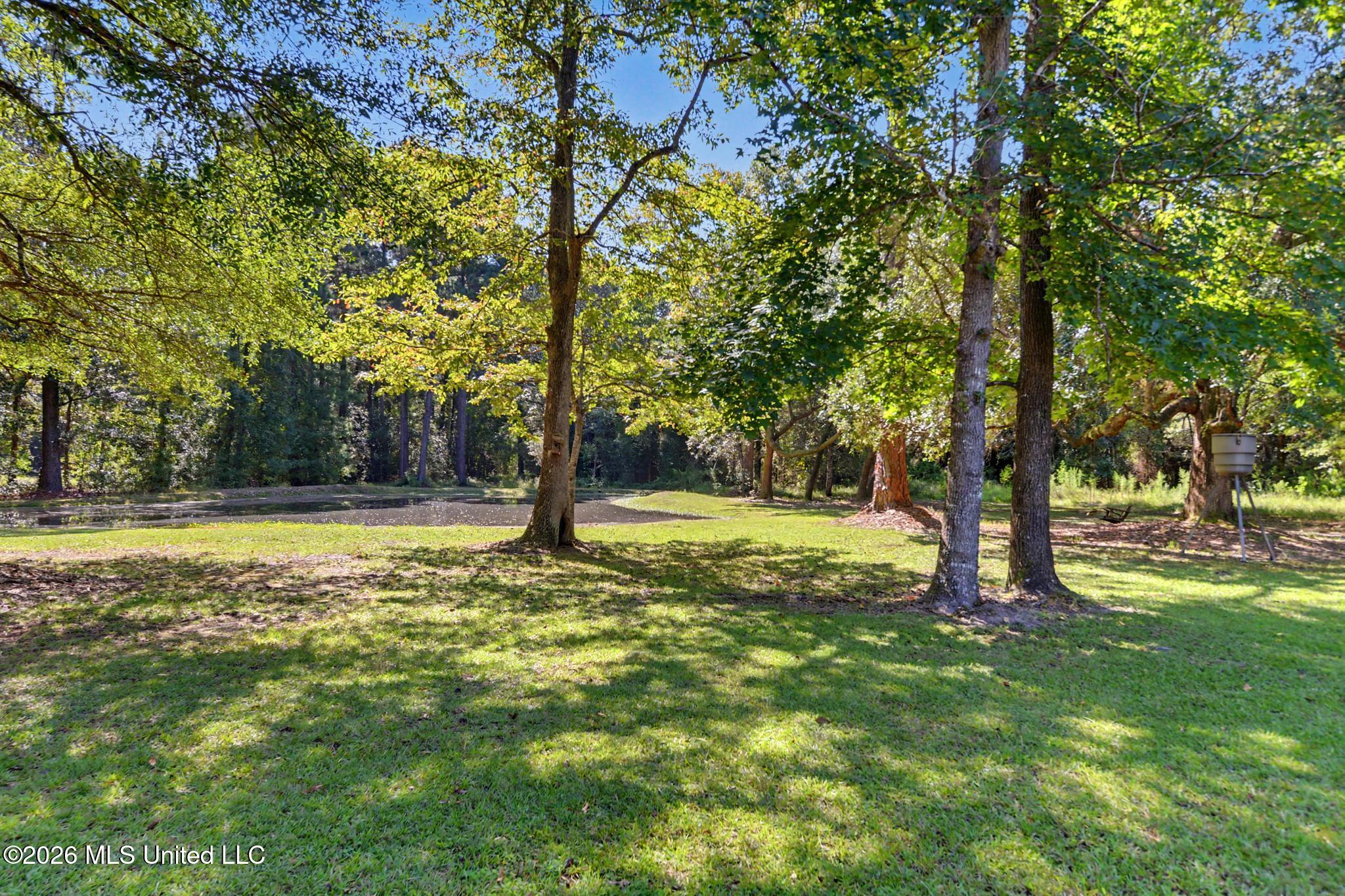 6211 Crump Road Kiln, MS 39556 - Photo 44 of 51 Backyard