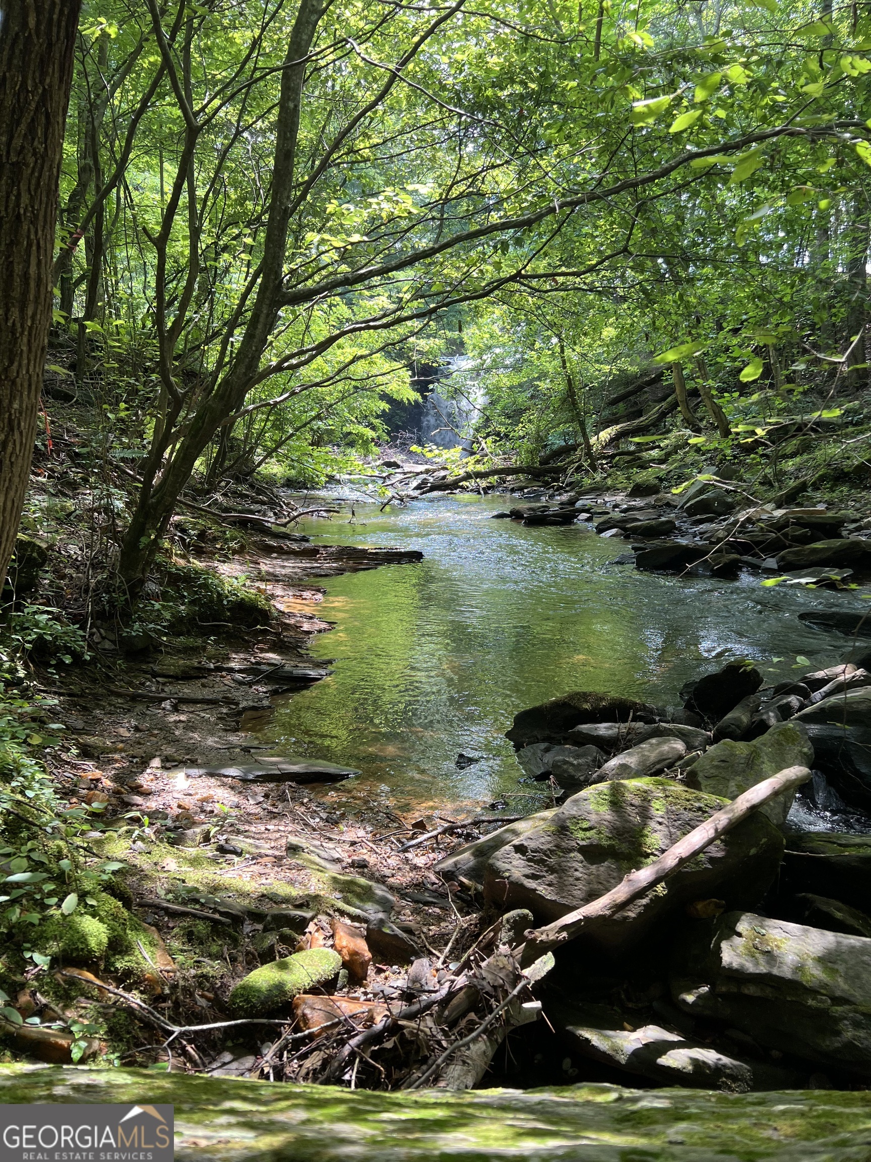1225-1227 Oglethorpe Road Jasper, GA 30143 - Photo 13 of 40 a view of a lake with outdoor space