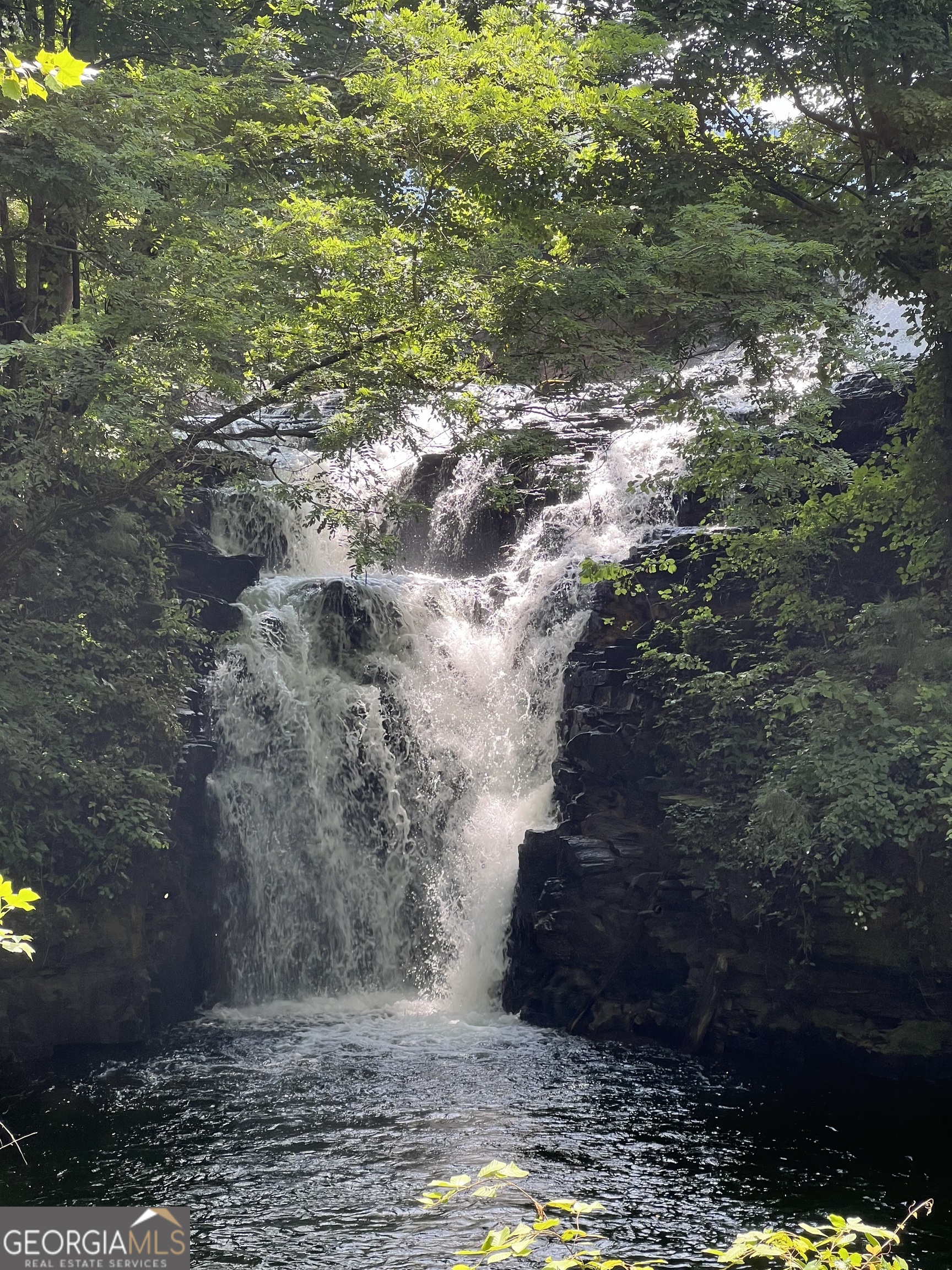 1225-1227 Oglethorpe Road Jasper, GA 30143 - Photo 14 of 40 a view of a yard
