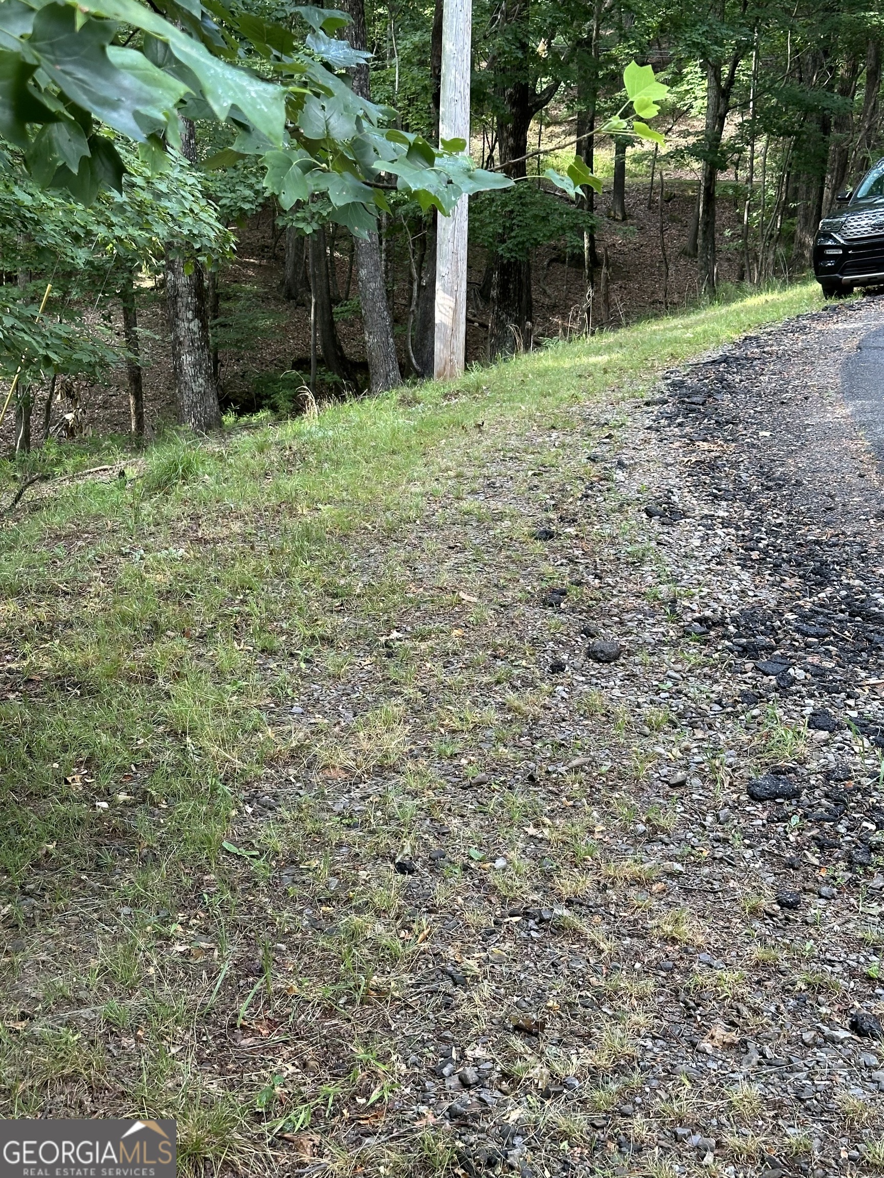 1225-1227 Oglethorpe Road Jasper, GA 30143 - Photo 17 of 40 a backyard of a house with lots of green space
