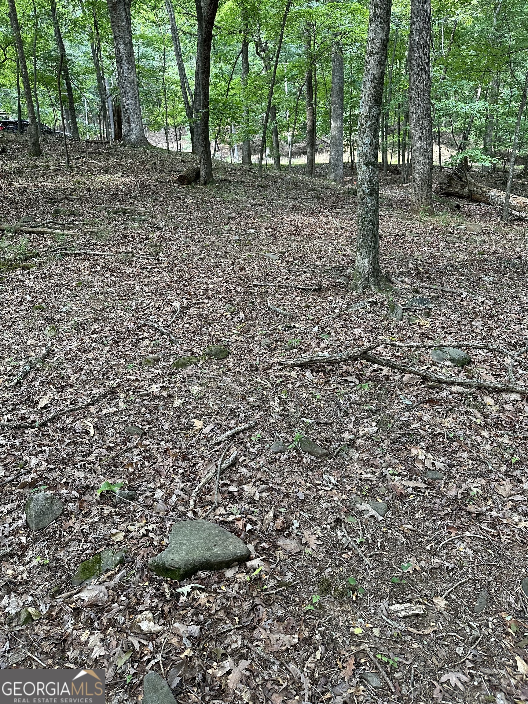 1225-1227 Oglethorpe Road Jasper, GA 30143 - Photo 22 of 40 a backyard of a house with lots of green space