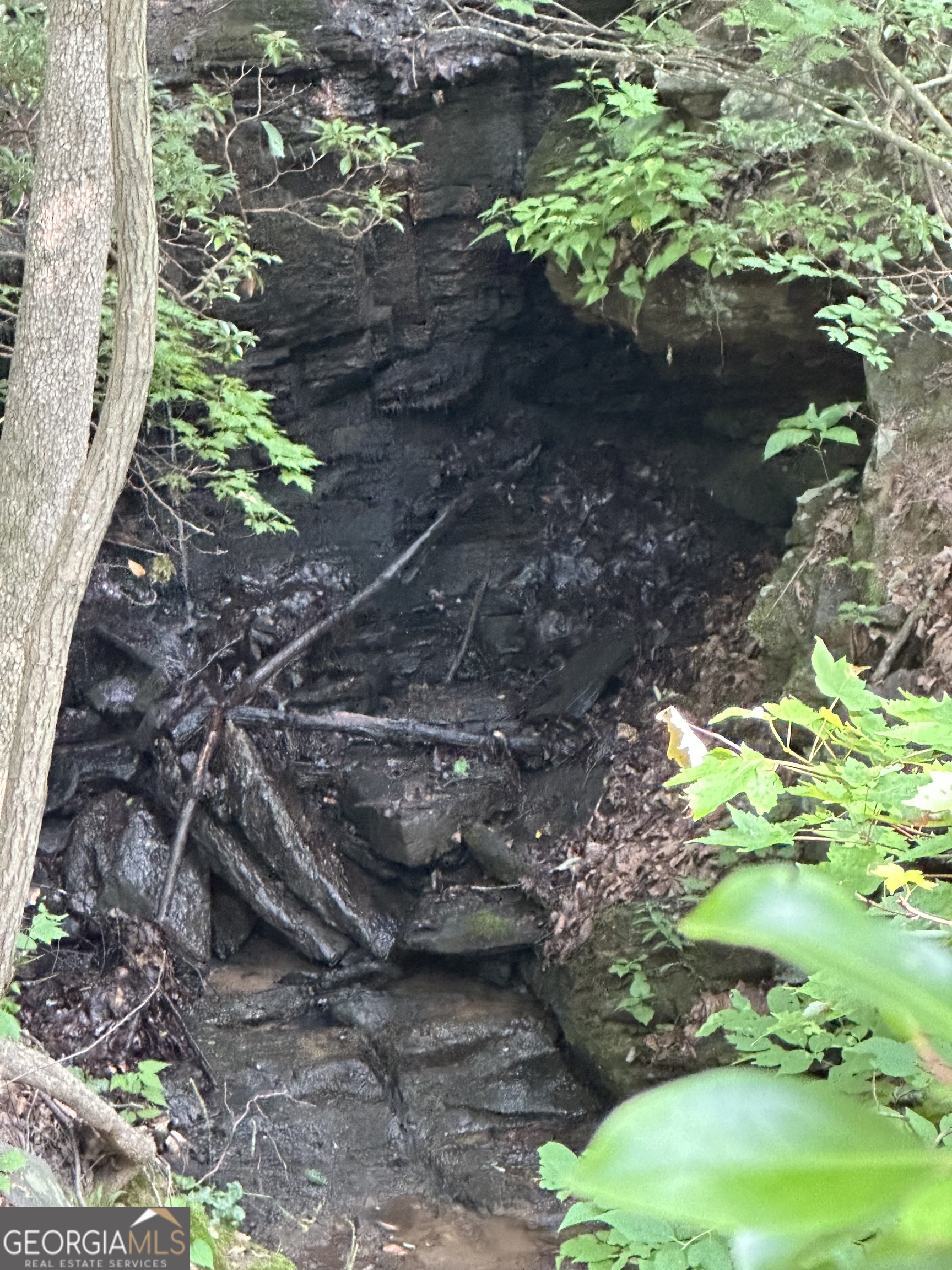 1225-1227 Oglethorpe Road Jasper, GA 30143 - Photo 24 of 40 a backyard of a house