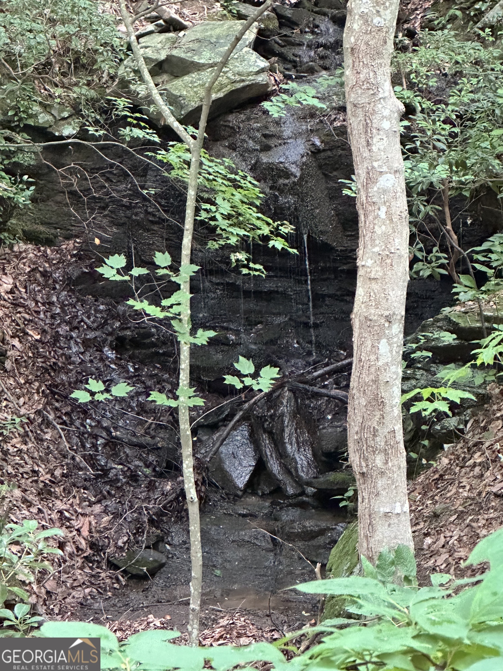 1225-1227 Oglethorpe Road Jasper, GA 30143 - Photo 28 of 40 a view of a backyard