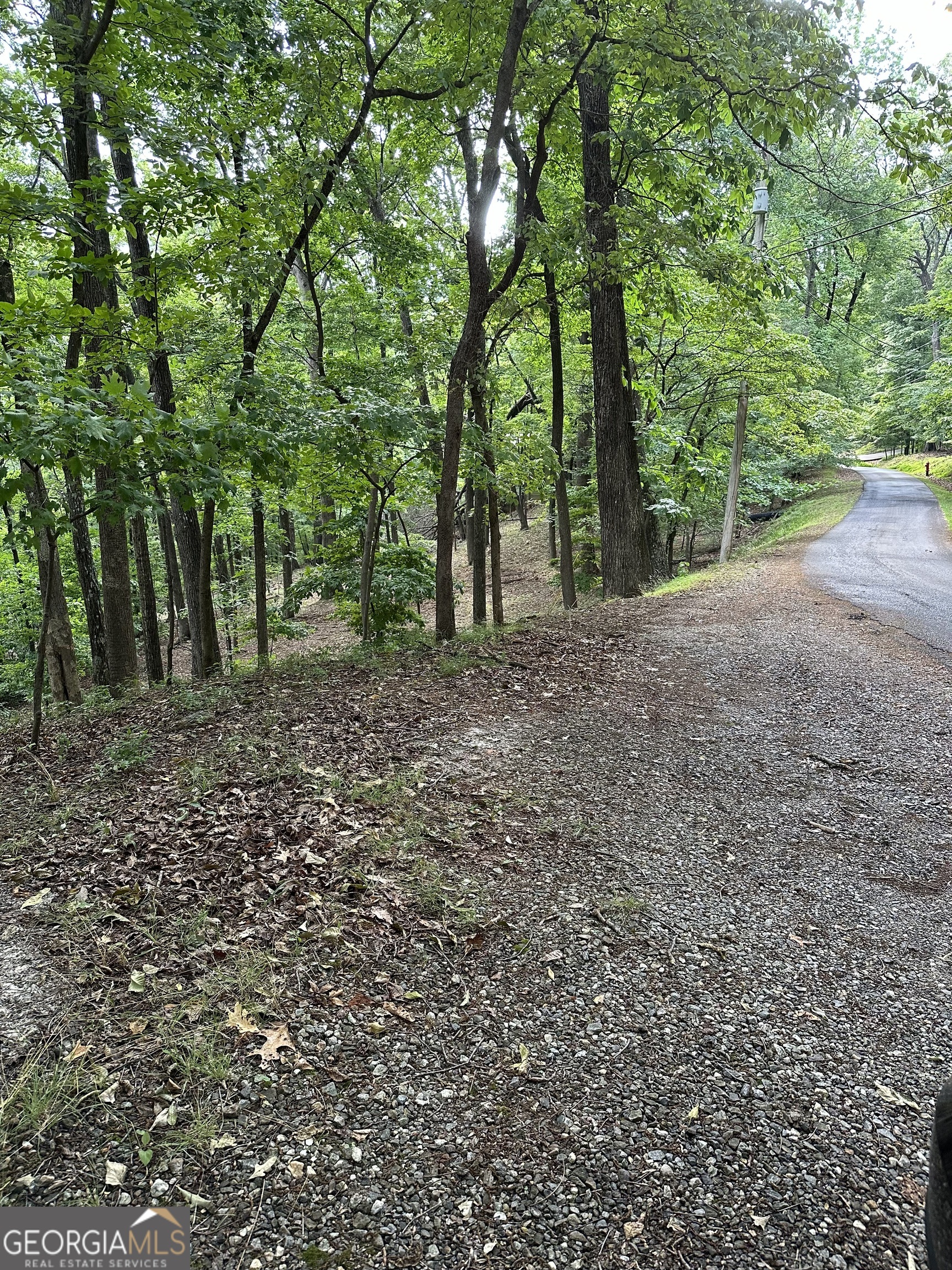 1225-1227 Oglethorpe Road Jasper, GA 30143 - Photo 31 of 40 a big yard with lots of green space and deers
