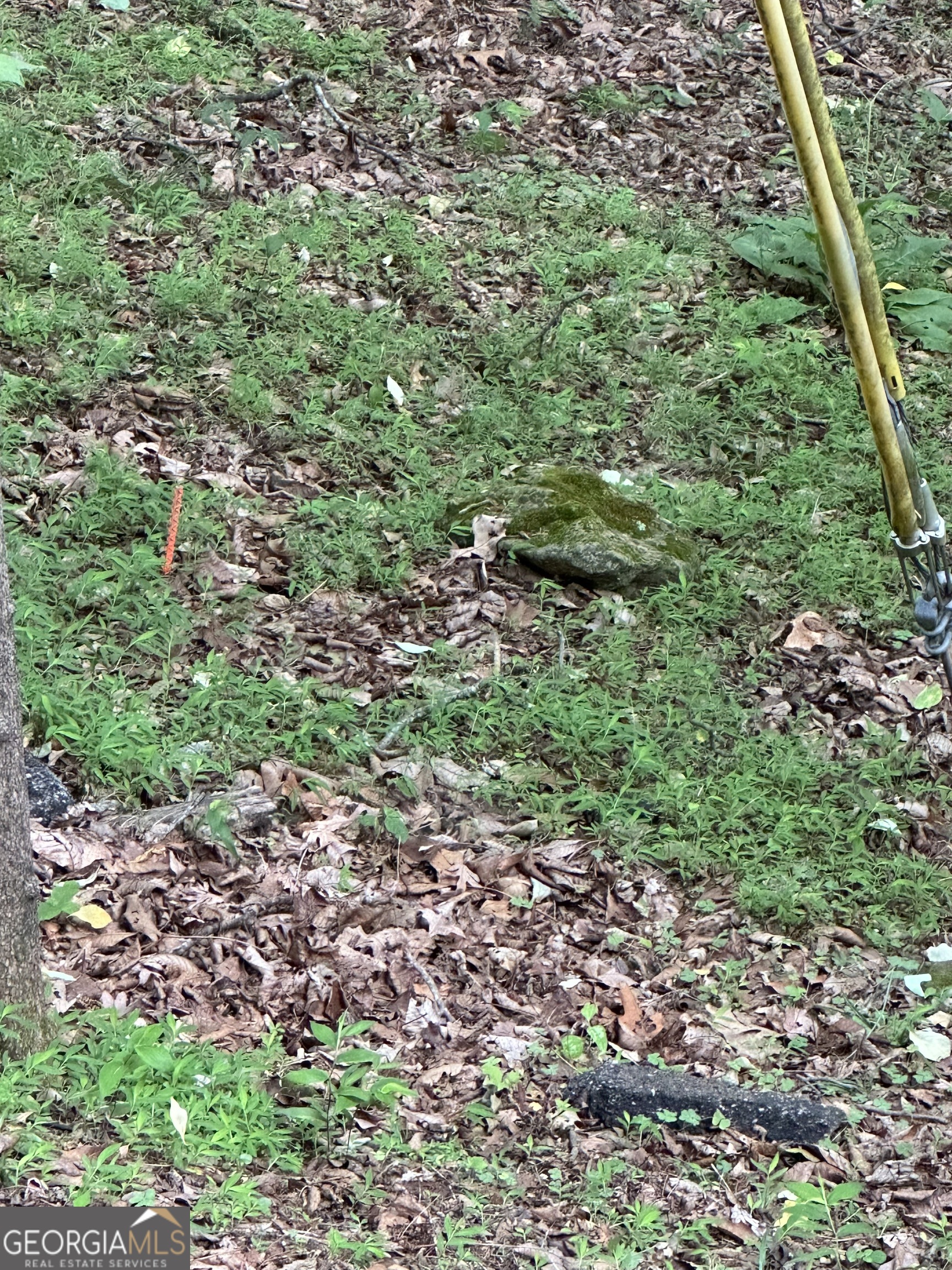 1225-1227 Oglethorpe Road Jasper, GA 30143 - Photo 37 of 40 a view of a large yard with lots of green space