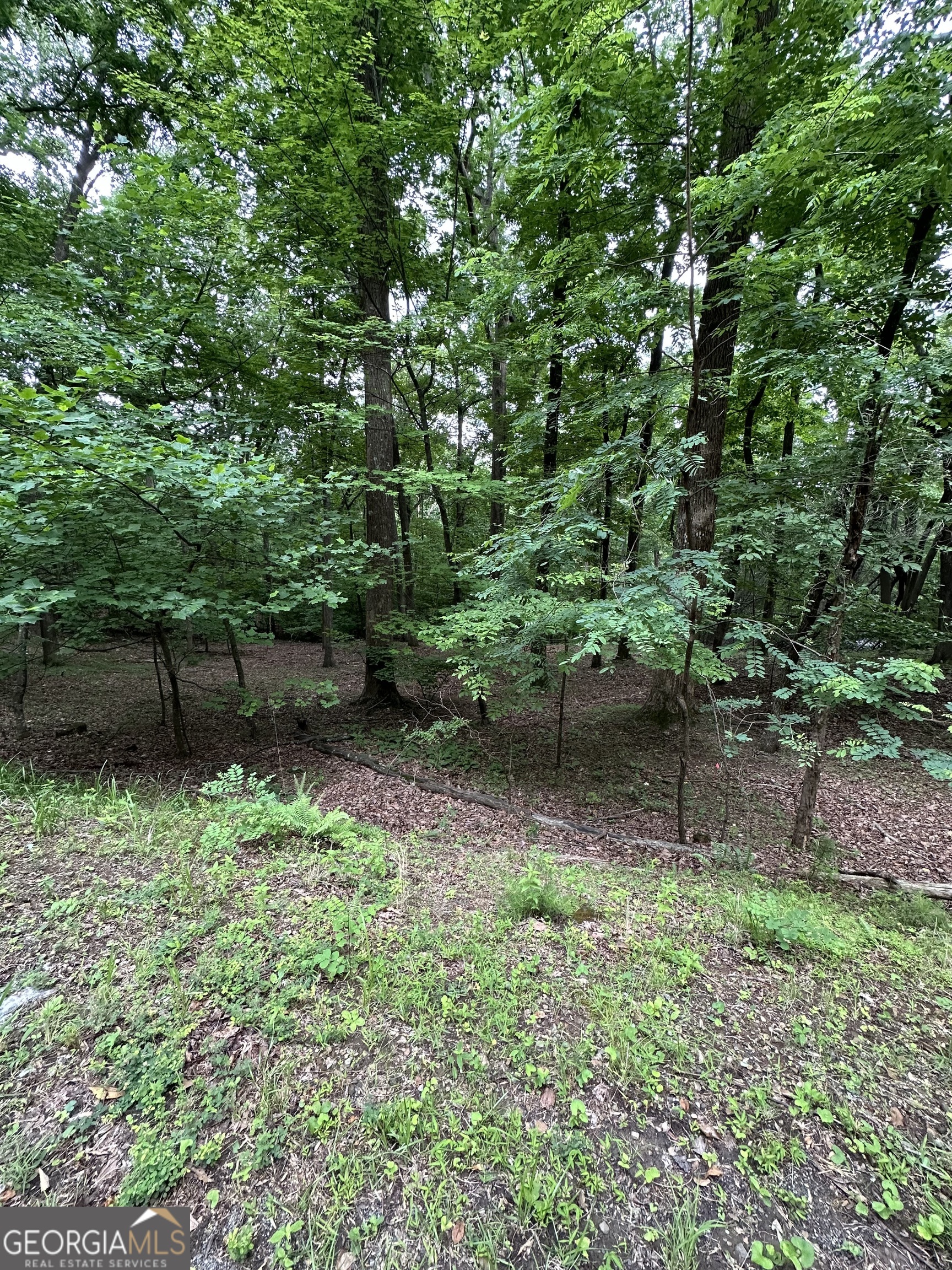 1225-1227 Oglethorpe Road Jasper, GA 30143 - Photo 39 of 40 a backyard of a house with lots of green space