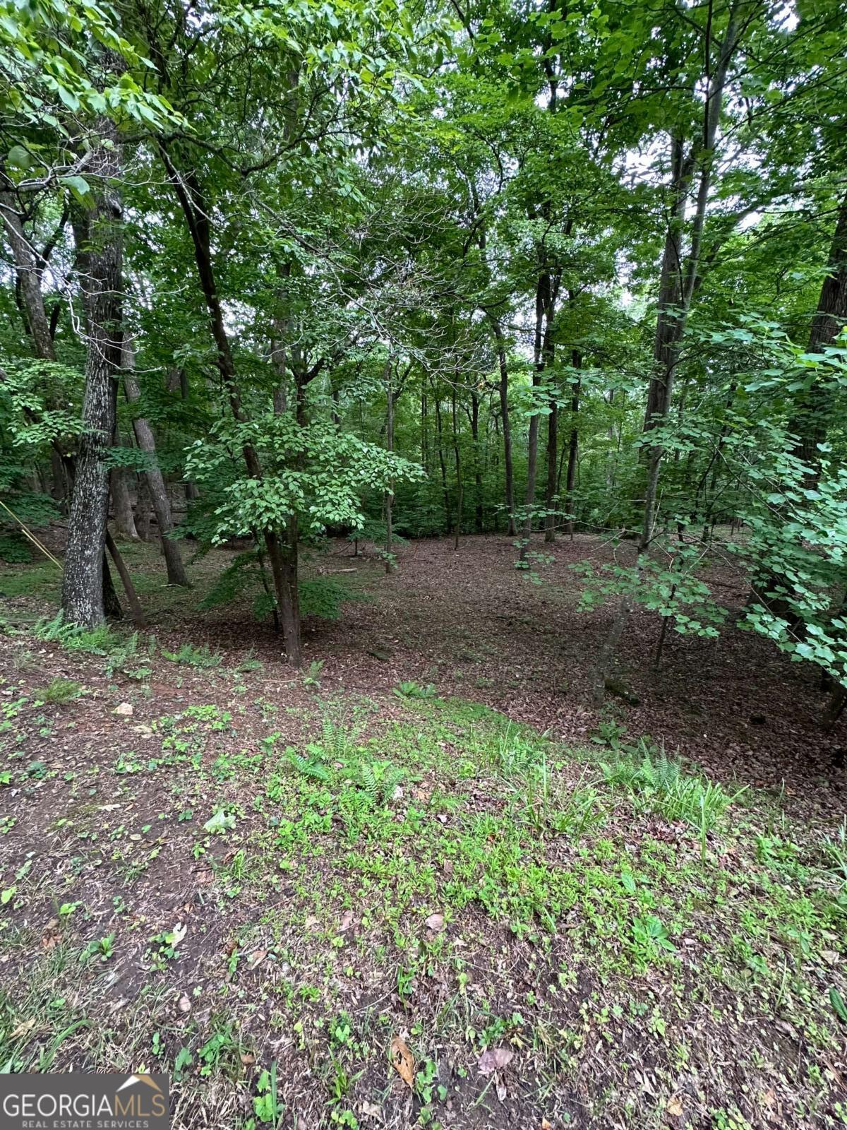 1225-1227 Oglethorpe Road Jasper, GA 30143 - Photo 5 of 40 a backyard of a house with lots of green space